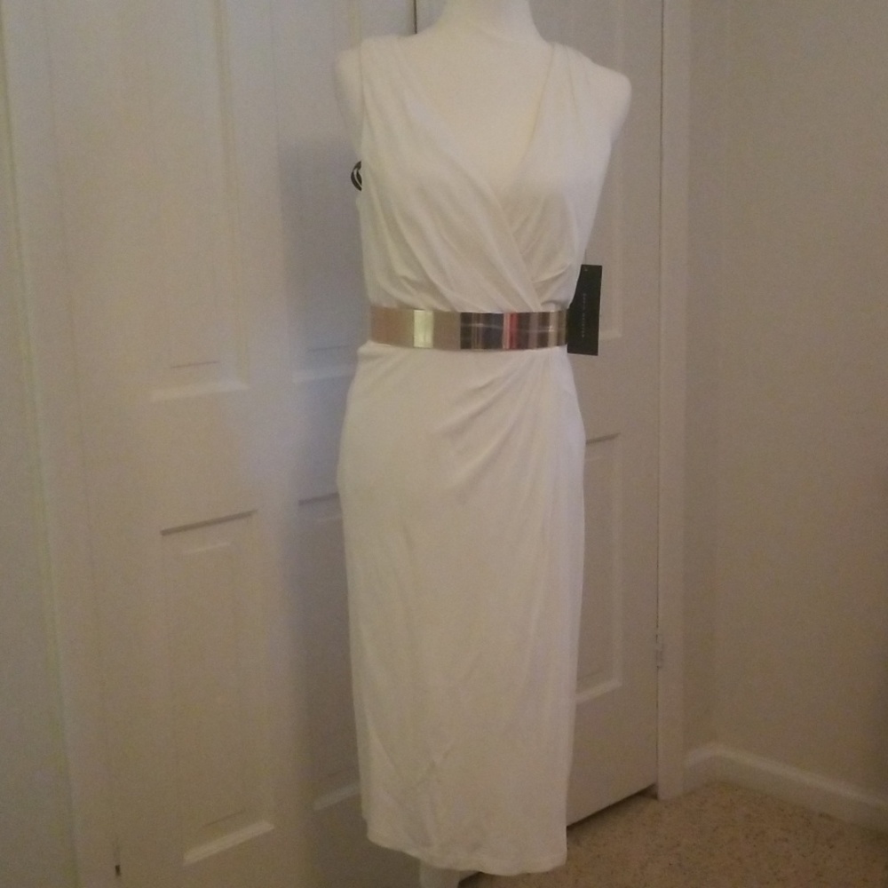Beautiful David Meister dress NWT